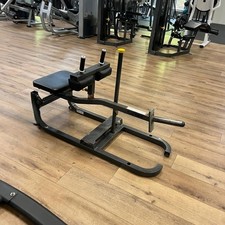 Cybex Plate Loaded Calf
