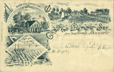 FEDER LITHO GRUß AUS LEMFÖRDE KREIS DIEPHOLZ GASTHAUS ZUM DÜMMER SEE 3BILD 1898