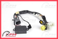 Suzuki TL 1000 S Kabelbaum