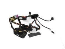 Kabelbaum für Tür und