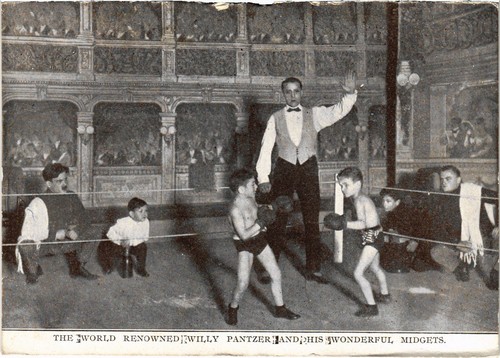 Circus the world - pc, renowned