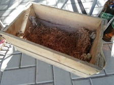 Alte holzkiste dachbodenfund - alte,