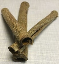 Seemandelbaumrinde röhre - seemandelbaumrinde,