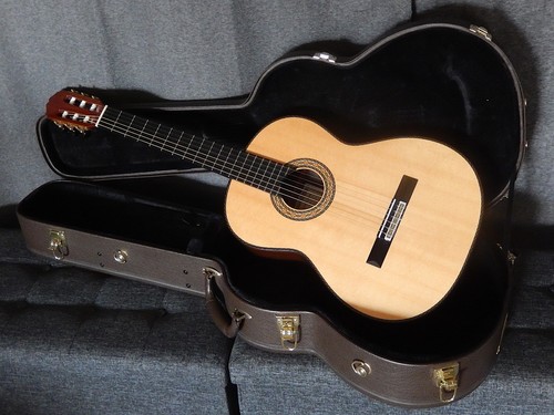 Takamine top the line - takamine's,
