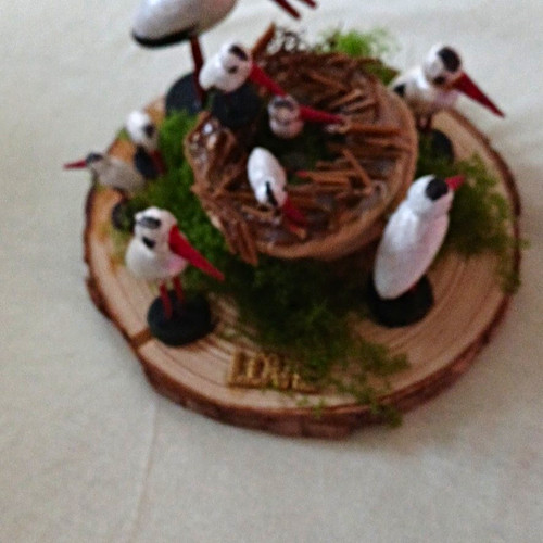 Störche mit nest - störche,