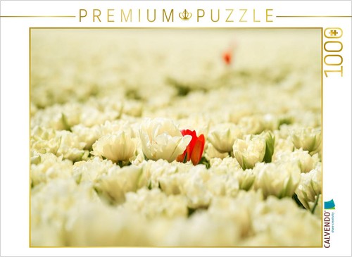 Calvendo puzzle snow - puzzle, and