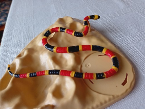 Konvolut schlangen von - konvolut,