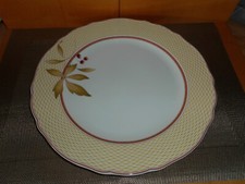 Platzteller  31  cm   York  medley   New  England  Hutschenreuther Kuchen