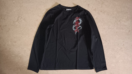 Longsleeve shirt drache - longsleeve,