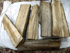 Eberesche , Vogelbeerbaum