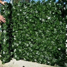 1x9M Sichtschutzhecke