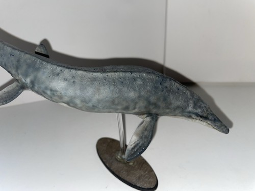 Mosasaurus paleo prints - mosasaurus,