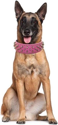 Hundehalsband aus kunstleder - hundehalsband,