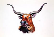 Originalzeichnung von Ugurcan