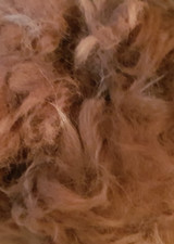 1000 Gramm Alpakawolle hellbraun, Rohwolle, Bastelwolle, Düngewolle,