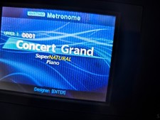 Roland RD-800 Stage Piano – Top Zustand + Zubehör (Ständer, Boxen) Profi E-Paket