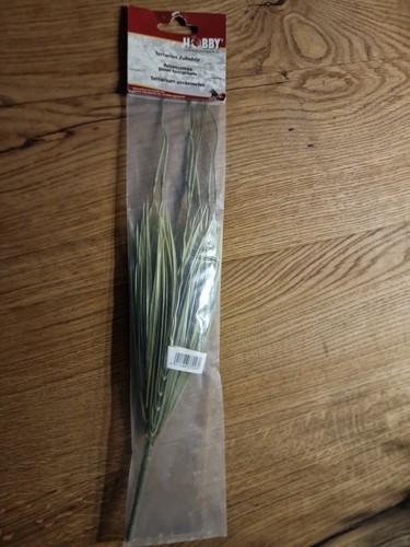 Hobby savannengrass - hobby,