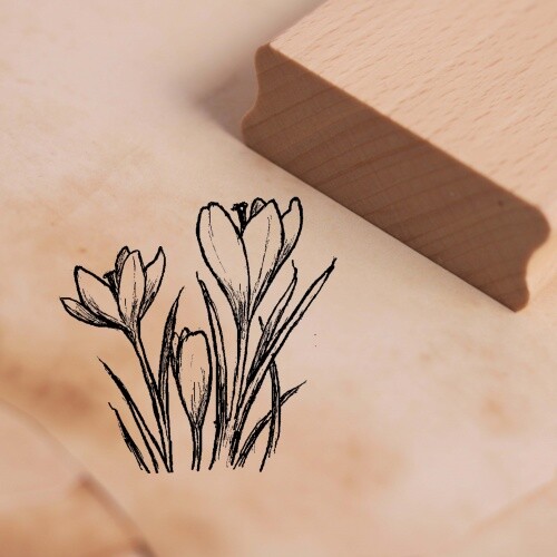 Motivstempel krokus stempel - krokus,
