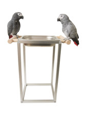 Papageienspielzeug, Freisitz