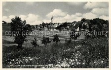Schwarzenbach Wald Blumenwiese