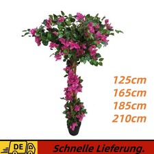 125/165/210cm Groß