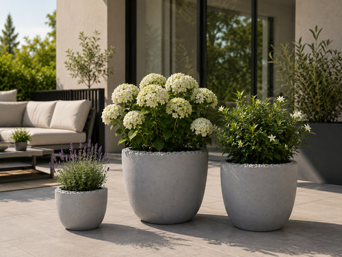 Pflanzkübel beton blumentopf - pflanzkübel,