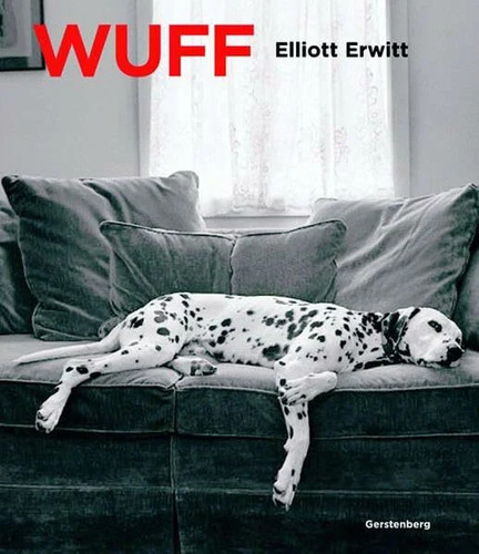 Wuff mit einem vorwort - wuff!:,