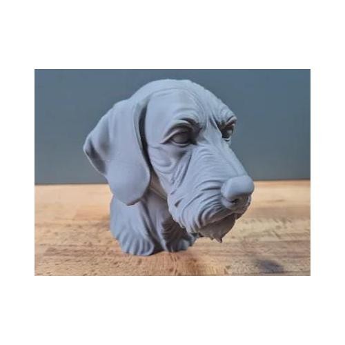 Drahthaar vizsla büste - vizsla, /