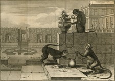 2 antike Drucke-GUENON-KAPUZINERAFFE-ANATOMIE-Perrault-Duflos-1758