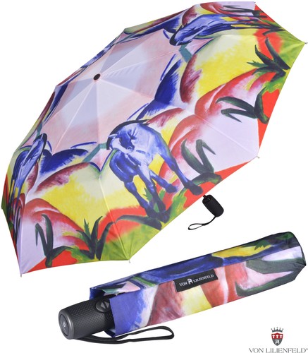 Regenschirm damen mini - regenschirm,