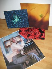 Poster A3 bis A0 - PP-Folie