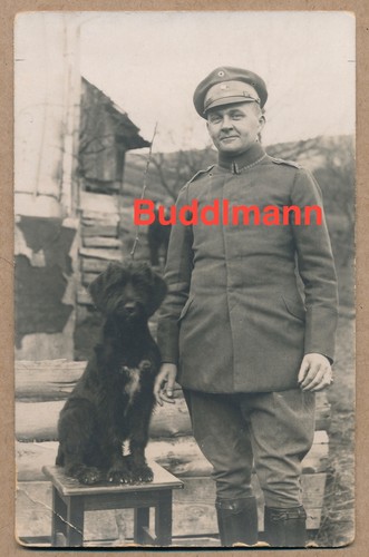 Foto soldat feldgrau mit - soldat, hund