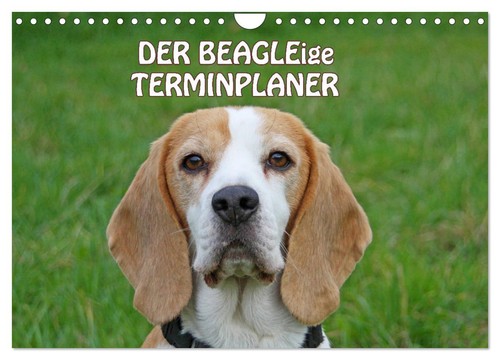 Der beagleige terminplaner - der,