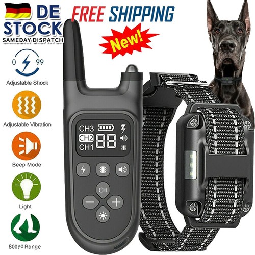 Hund ausbildung ferntrainer - hund,