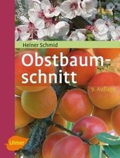 Obstbaumschnitt: Kernobst -