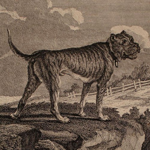 Johann elias ridinger - johann,