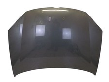 Motorhaube LA6Q Sagegreen