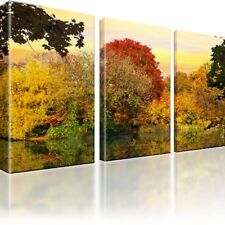 Wald See Herbst Bilder auf Leinwand Fotodruck Dreiteilige Wandbilder