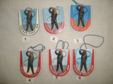 Villinger Fasnet 2004 Fleck -