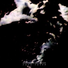 Space Drum Meditation - Four Tusks (Vinyl LP - 2024 - EU - Original)