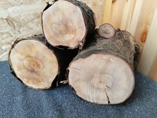 3× Mirabelle Drechselholz