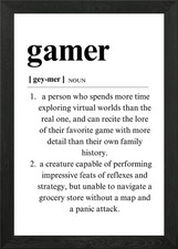 Funny Definition Gamer