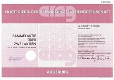 10 X Ekatit Riedinger Verwaltungs-Aktiengesellschaft 1982  100 DM