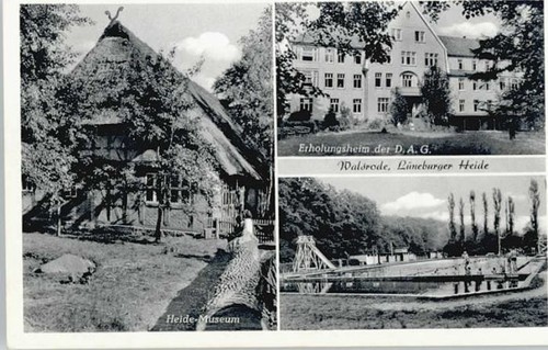 Walsrode lueneburger heide - lueneburger,