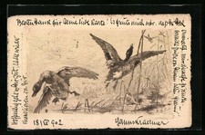 Ansichtskarte Raubvogel auf Entenjagd in der Luft 1902 