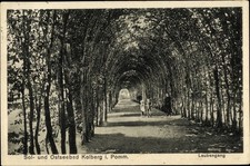 Ak Kołobrzeg Kolberg Pommern, Laubengang - 10624127