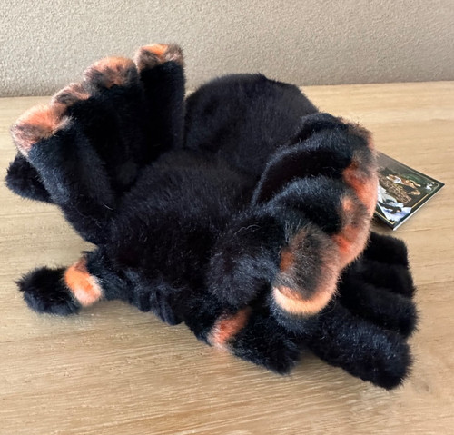 Hansa orange knie tarantel - hansa,