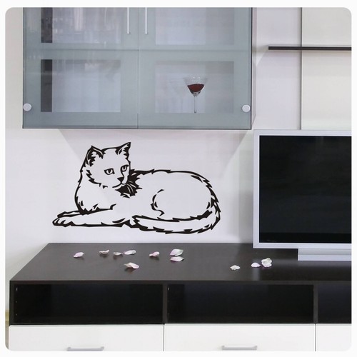 Wandtattoo katze kätzchen - wandtattoo,