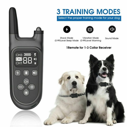 Erziehungshalsband hunde - erziehungshalsband,