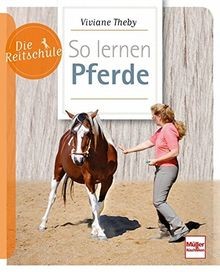 Lernen pferde die - so,